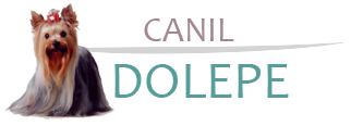 Canil Dolepe Logo